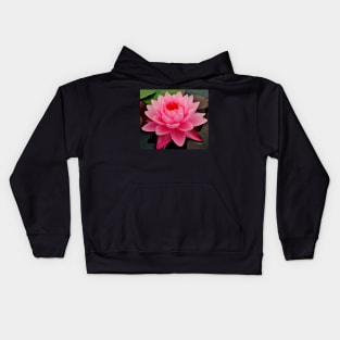 vibrant pink water lily on still water Kids Hoodie